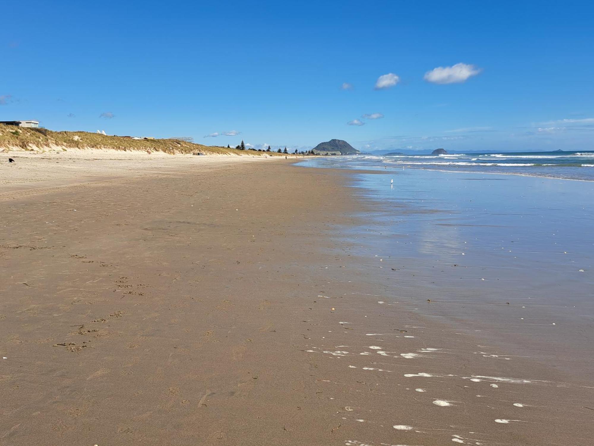 Sunbrae Beach Sanctuary Free High Fibre Wifi 마운트마운가누이 외부 사진